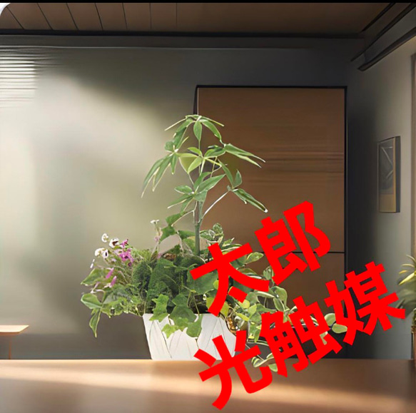 光触媒 人工観葉植物 ウォールグリーン フェイクグリーン 寄せ植え