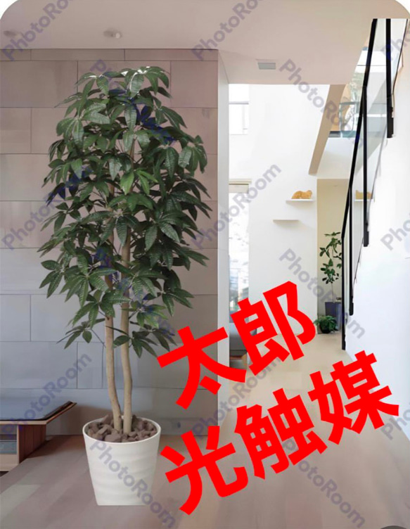 光触媒 人工観葉植物 ウォールグリーン フェイクグリーン くねくね