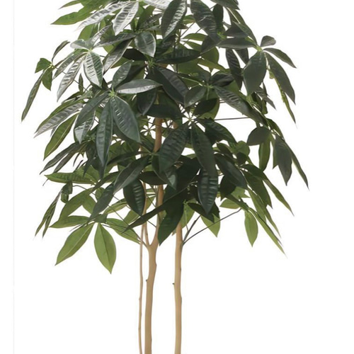 光触媒 人工観葉植物 ウォールグリーン フェイクグリーン デザイン