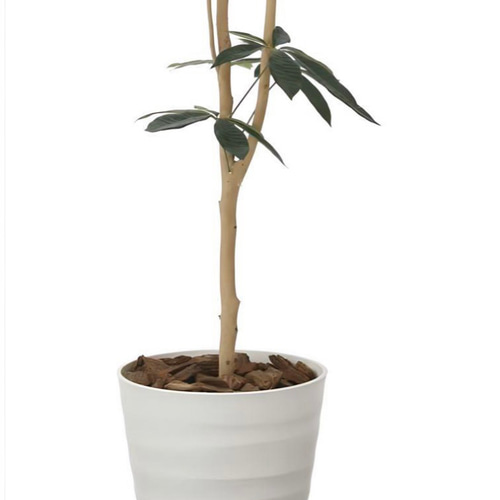 光触媒 人工観葉植物 ウォールグリーン フェイクグリーン デザイン