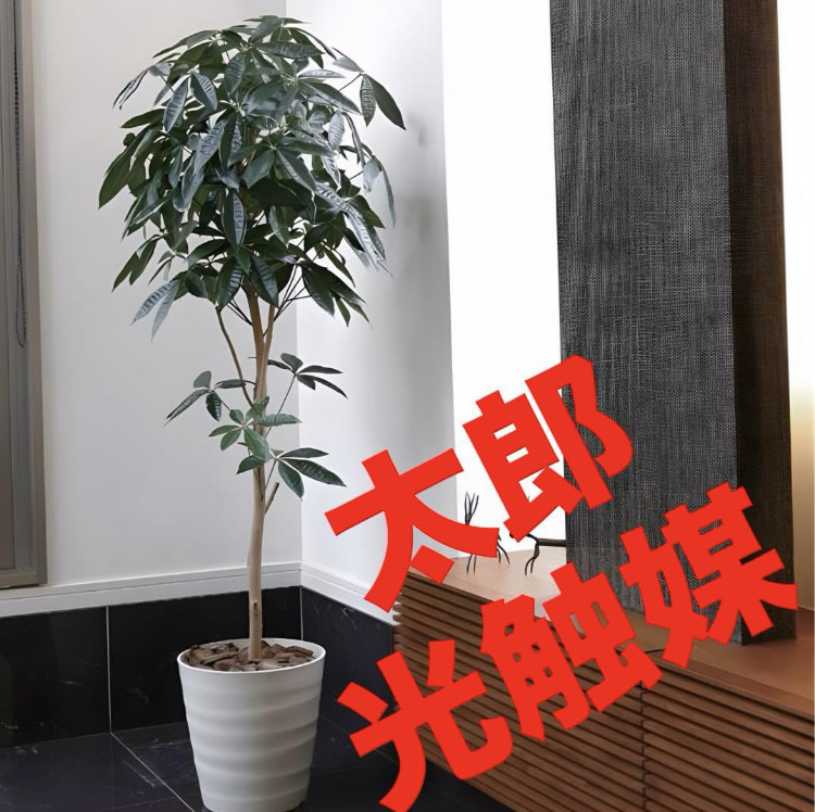 光触媒　人工観葉植物　ウォールグリーン　フェイクグリーン　デザインパキラ1.8m