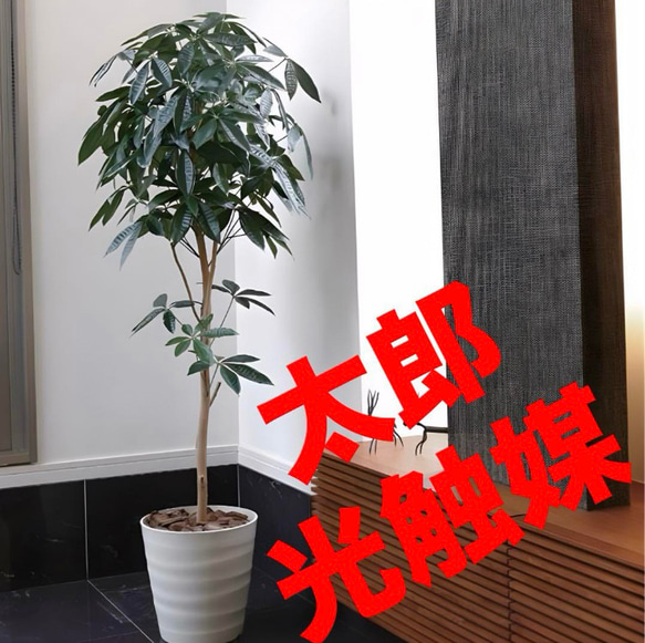 光触媒 人工観葉植物 ウォールグリーン フェイクグリーン デザイン