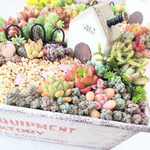 ミニチュア猫島アイランドフェイクガーデン、ハンドメイド、1点物、多肉植物サボテン ミニチュア猫島アイランドフェイクガーデン、ハンドメイド、1点