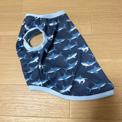 ハンドメイド犬服　接触冷感ニット　シンプルタンクトップ　サメの遊泳2色　オーダー頁　　リブの色を選べます、 4枚目の画像