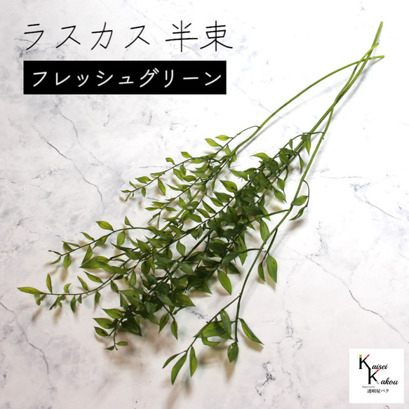 地球農場！永生花「Ruscas鮮綠半束」Preza乾燥花花材裝飾植物標本室 第1張的照片