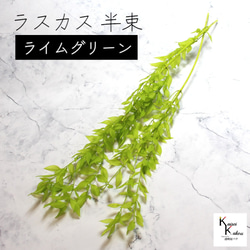 地球農場！永生花「Ruscas 石灰綠半束」Preza 乾燥花花材料裝飾植物標本室 第1張的照片