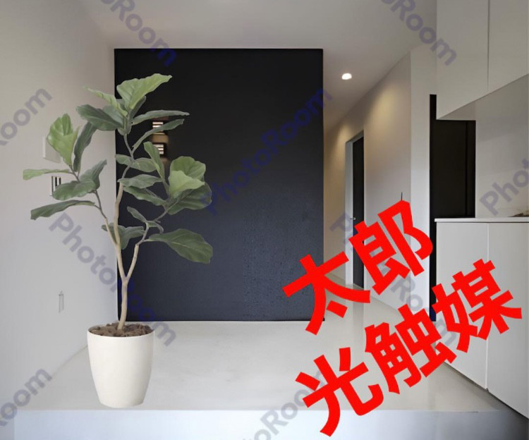 光触媒　人工観葉植物　ウォールグリーン　フェイクグリーン　デザインカシワバゴム