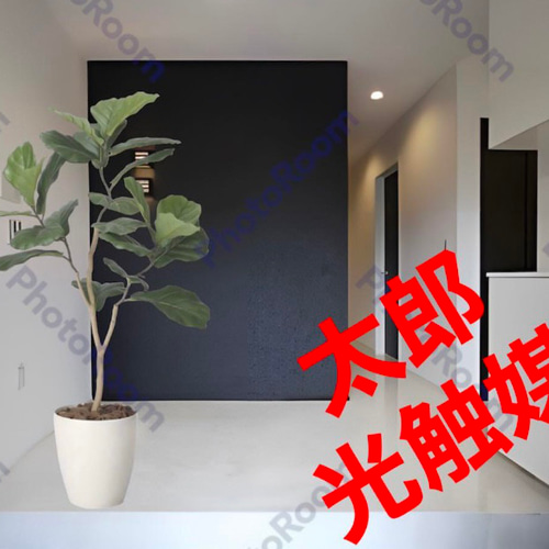 光触媒 人工観葉植物 ウォールグリーン フェイクグリーン デザイン 