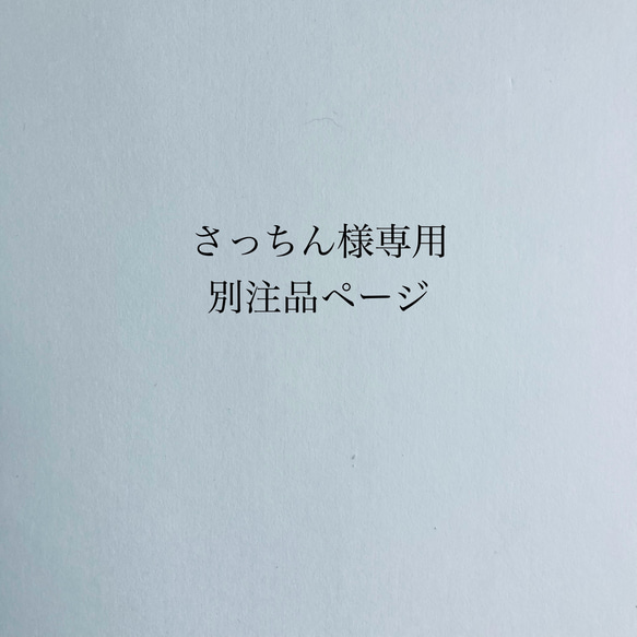 さっちん様専用別注品ページ 1枚目の画像