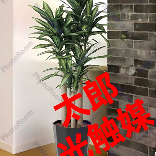 光触媒 人工観葉植物 ウォールグリーン フェイクグリーン 幸福の 