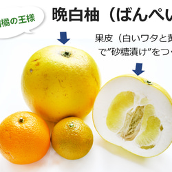 晩白柚（ばんぺいゆ）のパウンドケーキ◎爽やかな柑橘の香りあふれる限定ケーキ 4枚目の画像