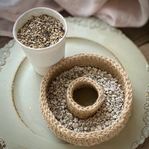 澄んだリース』寄せ植えセット 多肉植物 多肉寄せ植え 多肉植物 はっぺ