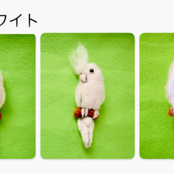 ふわふわオカメインコの羊毛フェルトブローチ　＊受注製作＊ 5枚目の画像