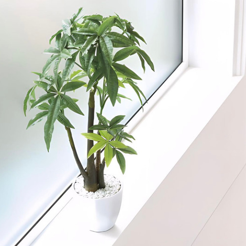 光触媒 人工観葉植物 ウォールグリーン フェイクグリーン パキラ
