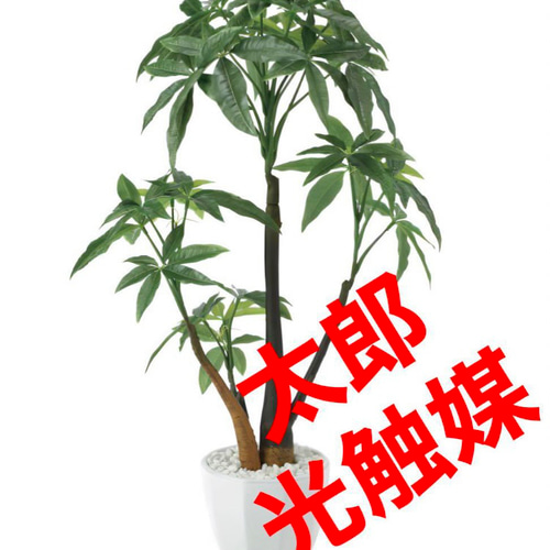 光触媒 人工観葉植物 ウォールグリーン フェイクグリーン パキラ