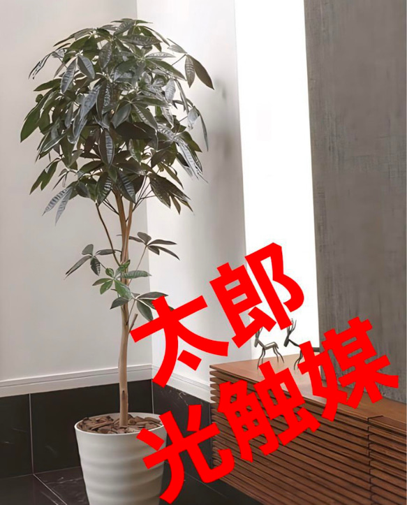 光触媒 人工観葉植物 ウォールグリーン フェイクグリーン