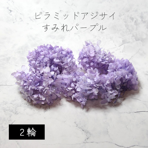 大地農園！ プリザーブドフラワー 「ピラミッドアジサイ・ヘッド 