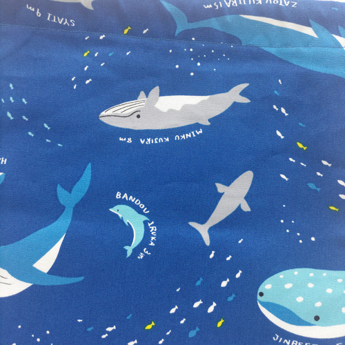 サメ・クジラオーダー受付中＊