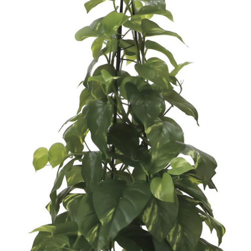 光触媒 人工観葉植物 ウォールグリーン フェイクグリーン フレッシュ