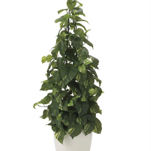 光触媒 人工観葉植物 ウォールグリーン フェイクグリーン フレッシュ