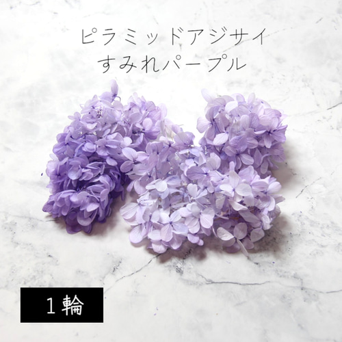 大地農園！ プリザーブドフラワー 「ピラミッドアジサイ・ヘッド 
