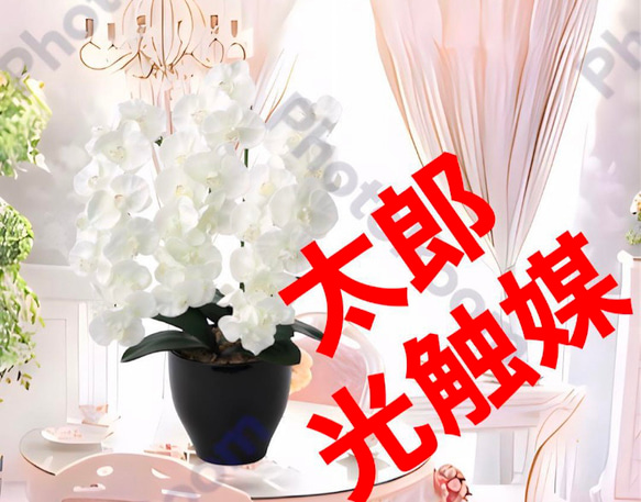 光触媒 人工観葉植物 ウォールグリーン フェイクグリーン