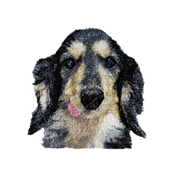 リアル刺繍 ポロシャツ ミニチュア ダックスフンド 名入れ 刺繍 わんこ 犬 うちの子 エンブラージュ 受注生産 2枚目の画像