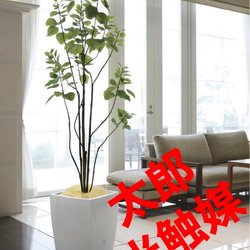 光触媒 人工観葉植物 フェイクグリーン アーバンブランチツリー