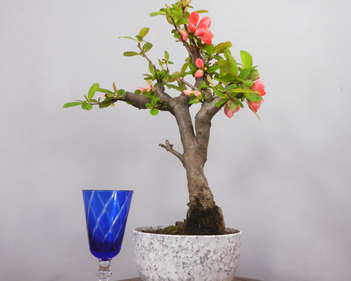 c5aa7c7f18fd86f06f9a3e8d1581e1