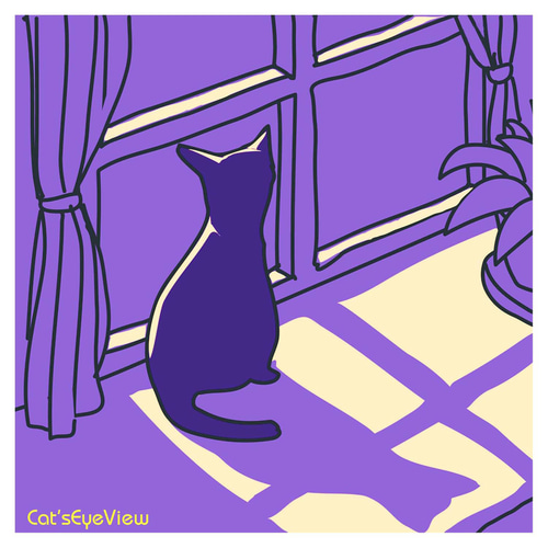 CAT009_月明かりの窓辺・夜の猫 イラスト Cat's Eye View 通販