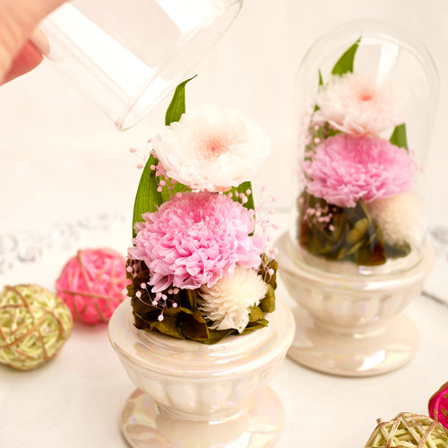 ミニ仏花」小菊のプリザーブドフラワーのガラスドーム～ピンク＜受注