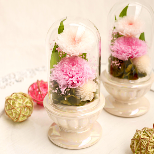 ミニ仏花」小菊のプリザーブドフラワーのガラスドーム～ピンク＜受注