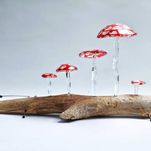 ガラスのキノコ 置物 オブジェ まだら赤5本 立体・オブジェ スタジオ