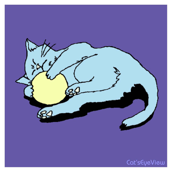 CAT012_家猫・ボール遊びをするタマ イラスト Cat's Eye View