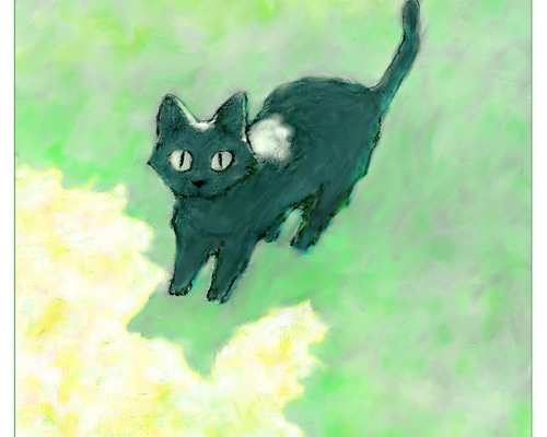 CAT017_野良猫・夏の木漏れ日 イラスト Cat's Eye View 通販