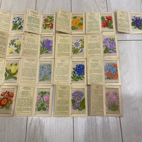 花の刺繍 シガレットカード イギリス 17枚セット その他雑貨 花の刺繍 シガレットカード イギリス 17枚セット その他雑貨