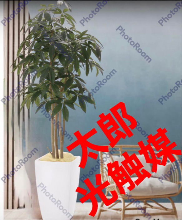 光触媒 人工観葉植物 フェイクグリーン アーバンパキラ1.8