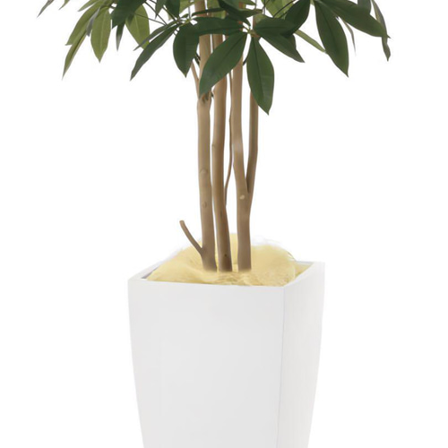 光触媒　人工観葉植物　フェイクグリーン　アーバンパキラ1.8m 光触媒 人工観葉植物 フェイクグリーン アーバンパキラ1.8