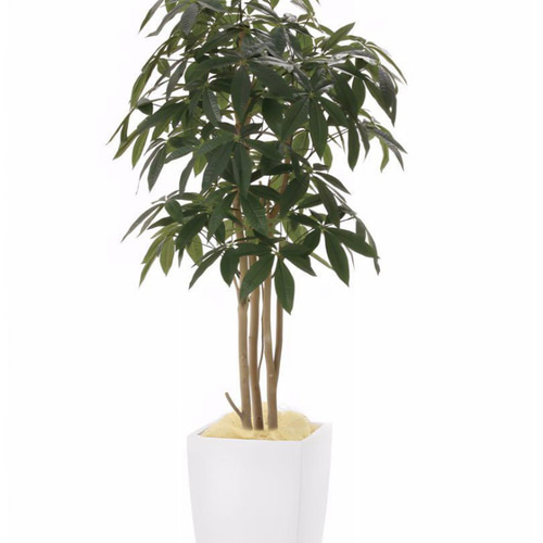 光触媒　人工観葉植物　フェイクグリーン　アーバンパキラ1.8m 光触媒 人工観葉植物 フェイクグリーン アーバンパキラ1.8