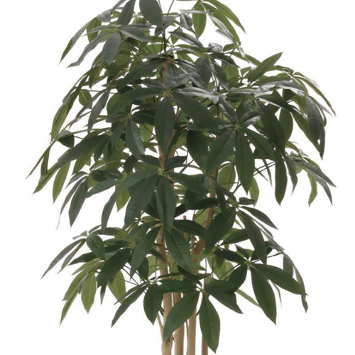 光触媒 人工観葉植物 フェイクグリーン アーバンパキラ1.8 その他