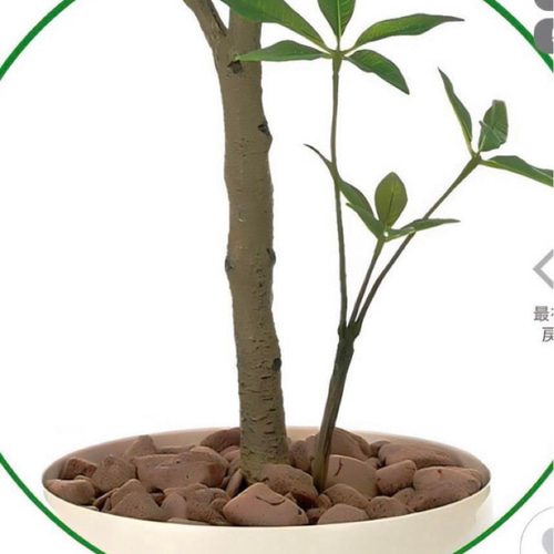 光触媒　人工観葉植物　フェイクグリーン　フレッシュパキラ1.35 光触媒 人工観葉植物 フェイクグリーン フレッシュパキラ1.35 【公式通販】