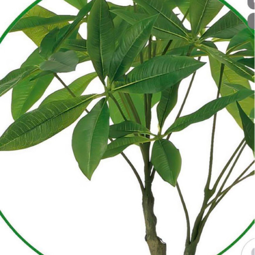 光触媒 人工観葉植物 ウォールグリーン フェイクグリーン フレッシュ