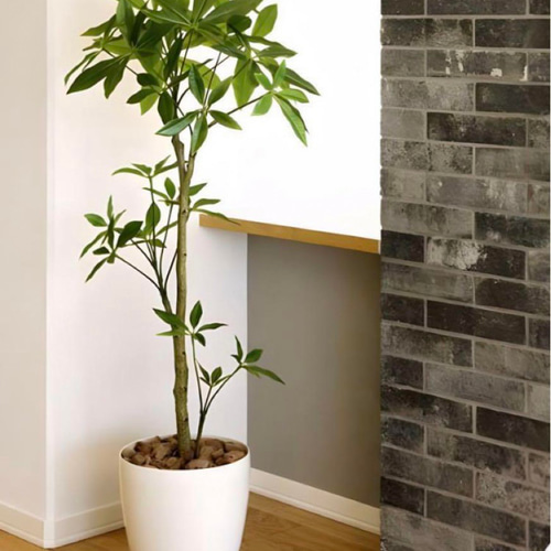 光触媒 人工観葉植物 フェイクグリーン フレッシュパキラ1.35 【公式通販】