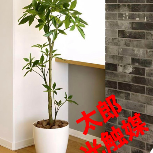 光触媒 人工観葉植物 ウォールグリーン フェイクグリーン