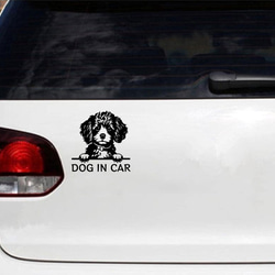 カッティングステッカー DOG IN CAR トイプードル プードル 4 2枚目の画像