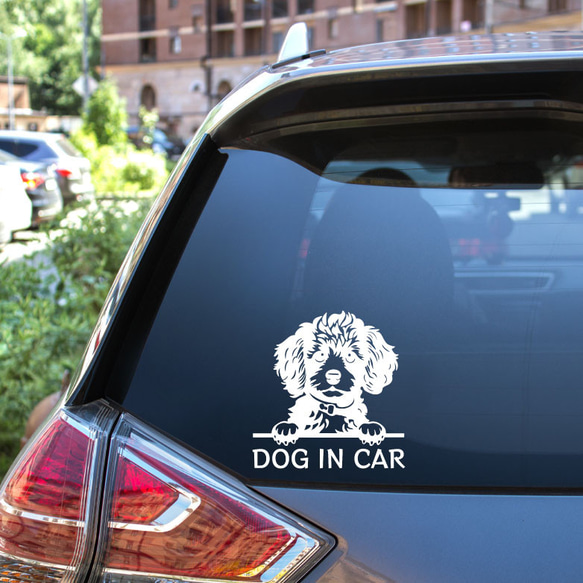 カッティングステッカー DOG IN CAR トイプードル プードル 4 3枚目の画像