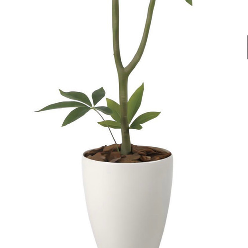 光触媒 人工観葉植物 フェイクグリーン フレッシュパキラ1.35 【公式通販】