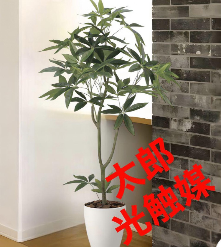 光触媒 人工観葉植物 ウォールグリーン フェイクグリーン 胡蝶蘭 光触媒 人工観葉植物 ウォールグリーン フェイクグリーン 胡蝶蘭