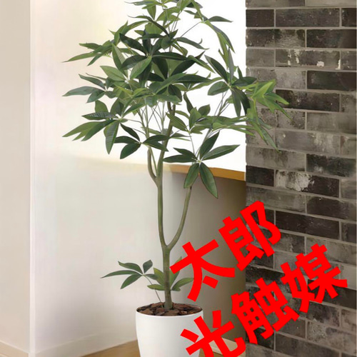 光触媒 人工観葉植物 フェイクグリーン フレッシュパキラ1.35 【公式通販】