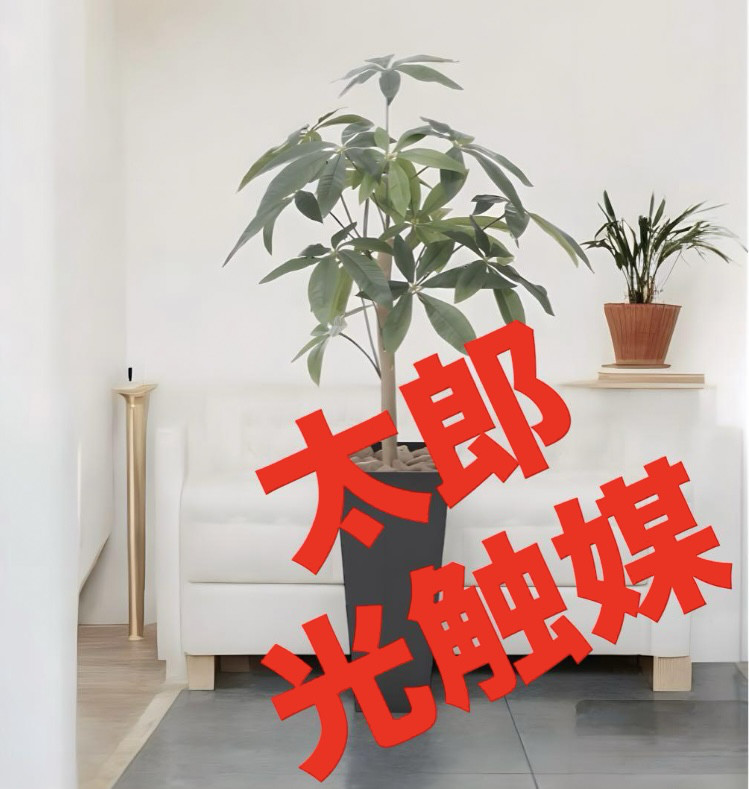 光触媒　人工観葉植物　ウォールグリーン　フェイクグリーン　スリムパキラ1.0